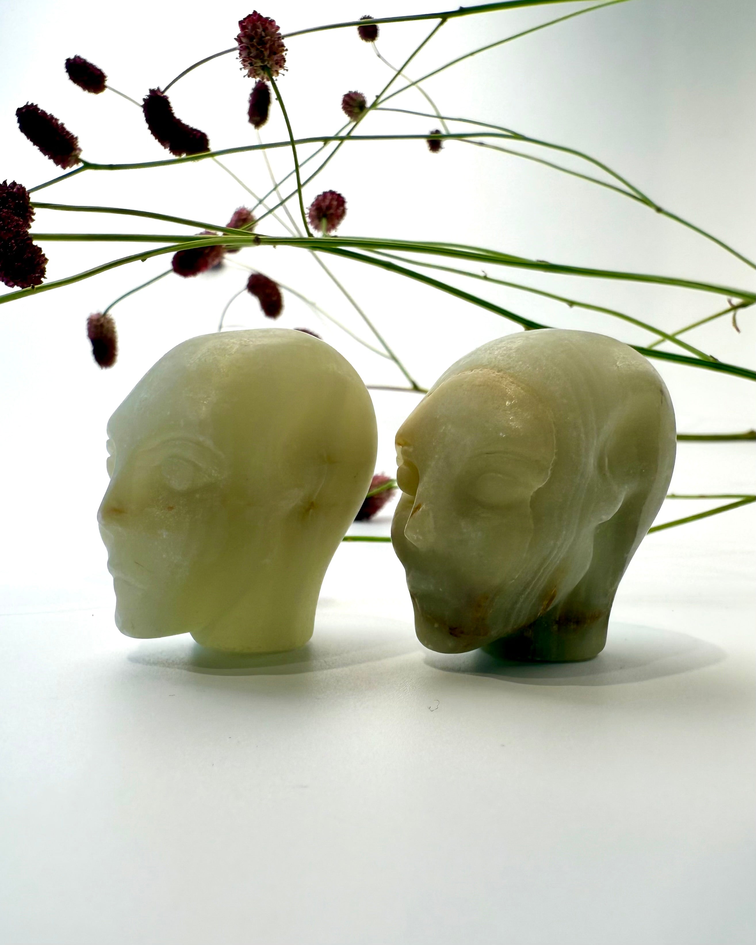 TILLID OG INDRØMMELSER - ALIEN