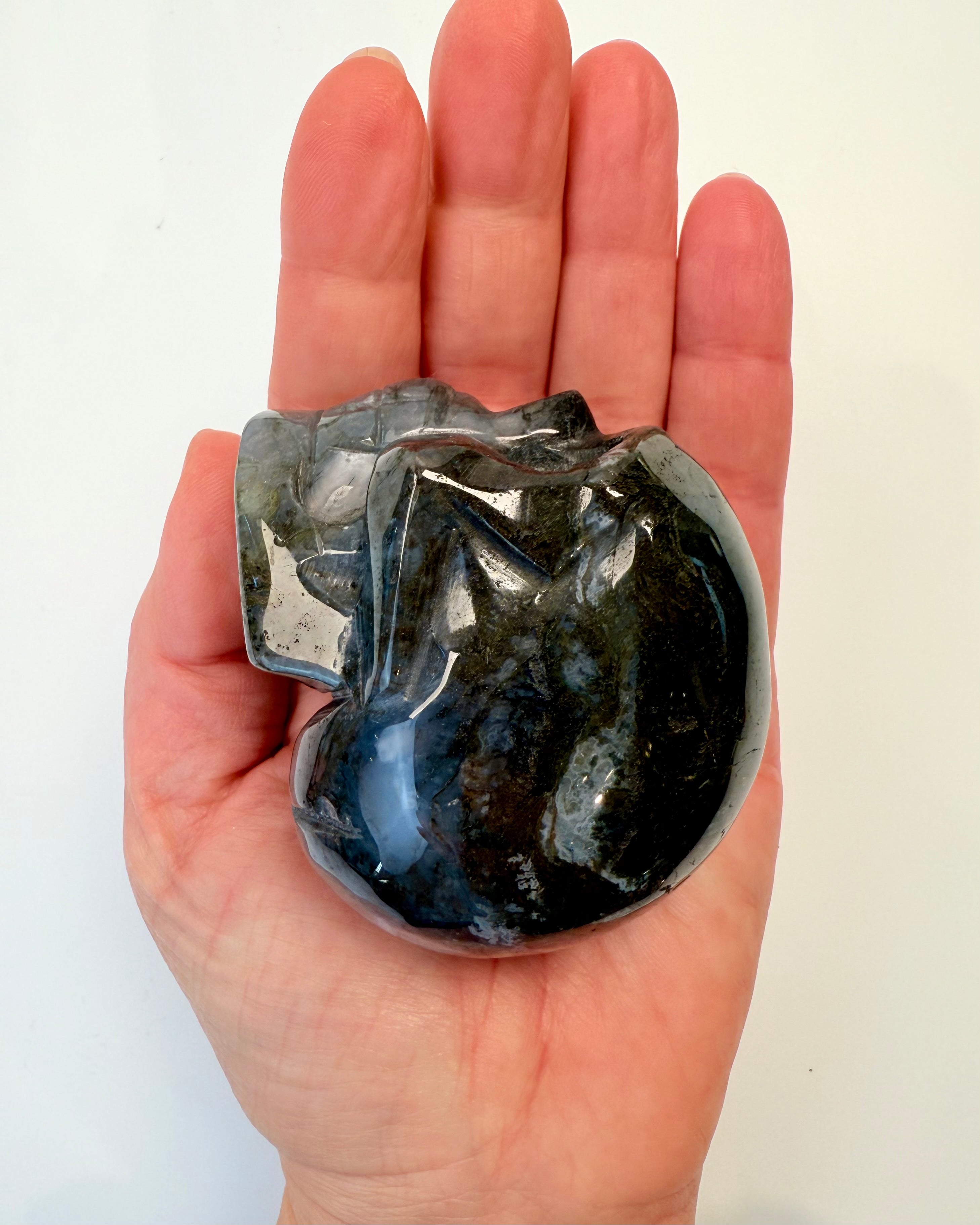 NYT LIV, NYE VALG - KRANIE - UNIKA