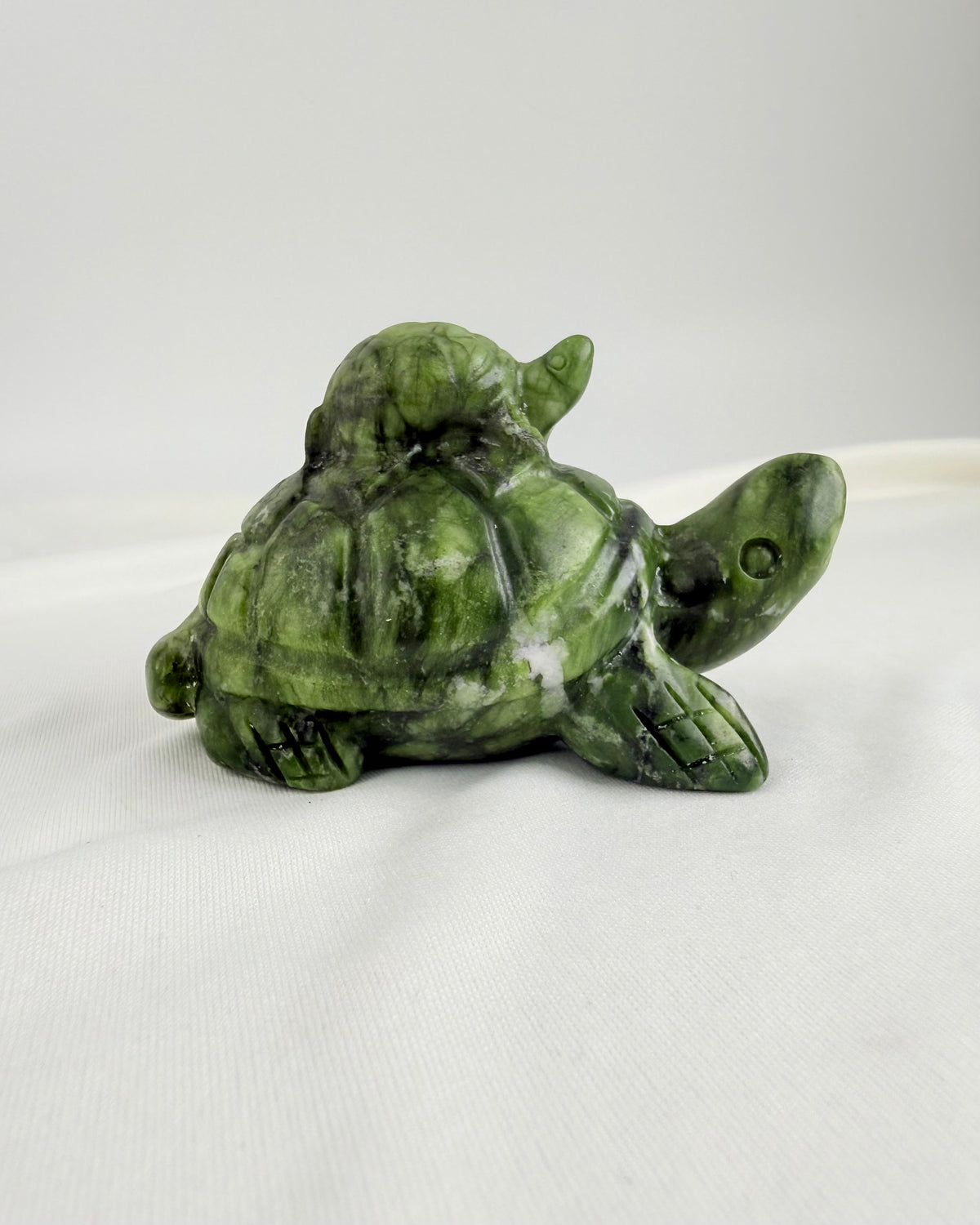 FAMILY FIRST - SKILDPADDE