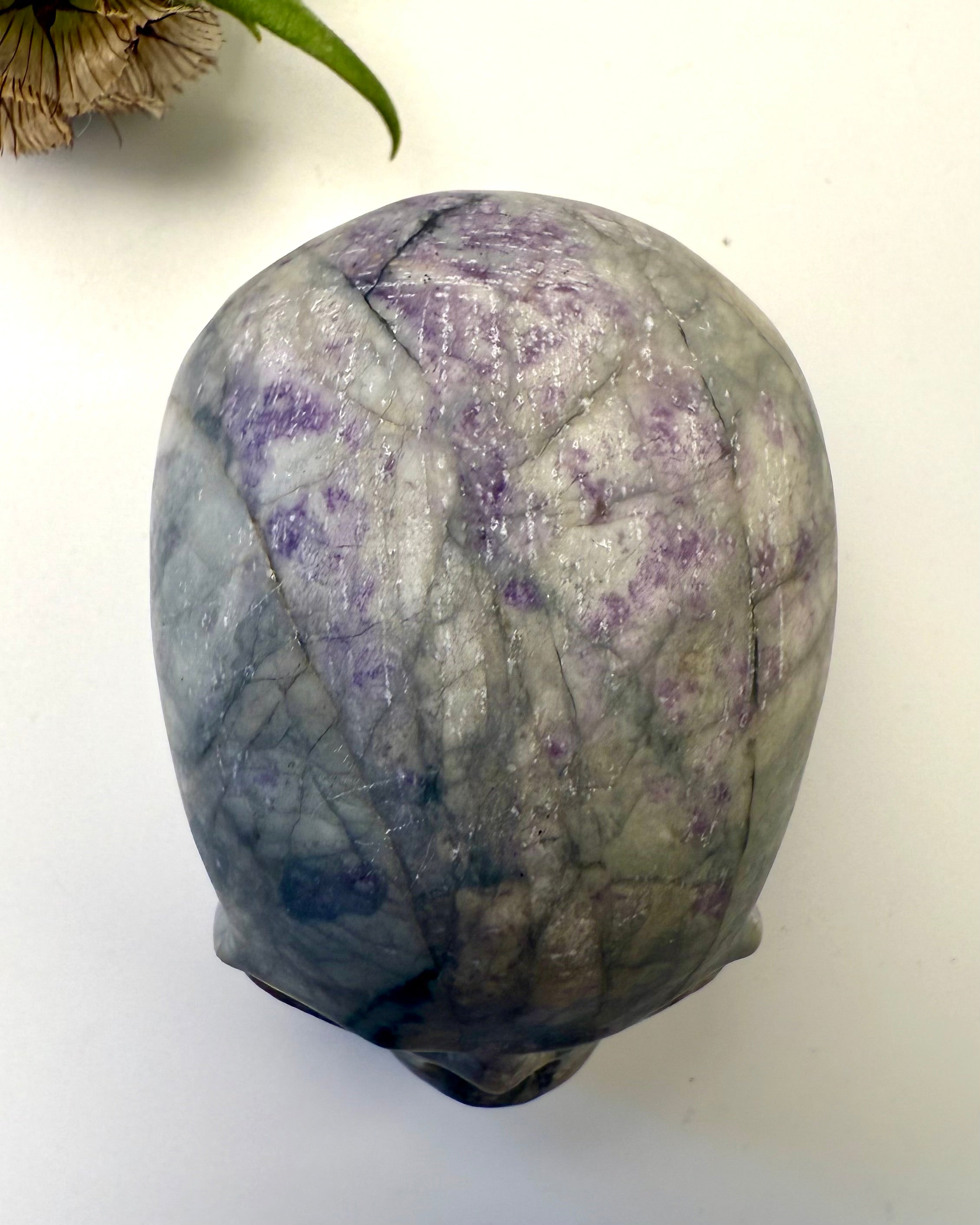 OVERGANGENS MESTER - KRANIE - UNIKA