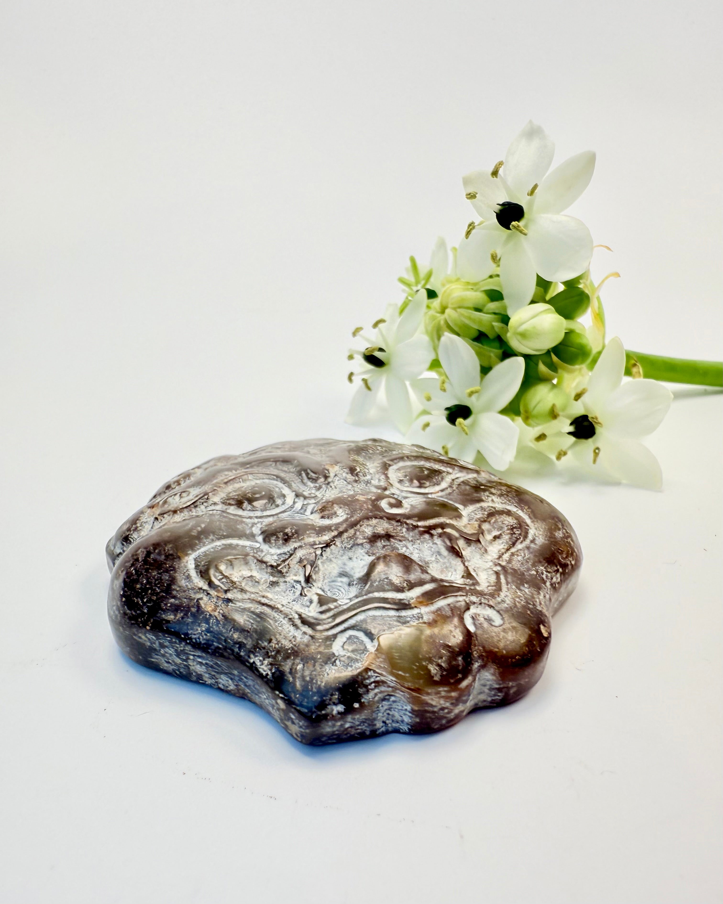 UFORFALSKET OG UTÆMMET - AMULET - UNIKA