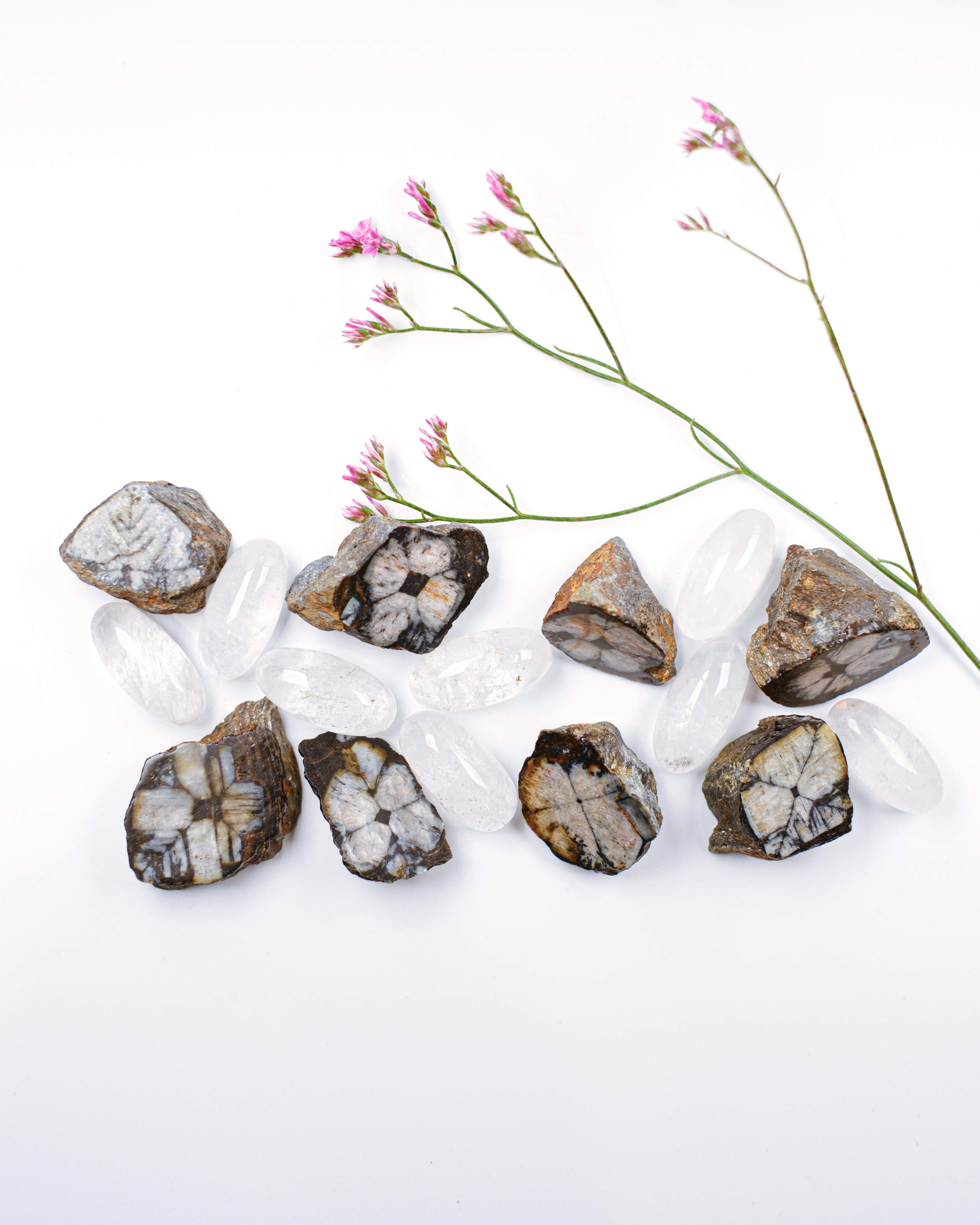 THE MEMORY OF PAST LIVES - KRYSTALPAR