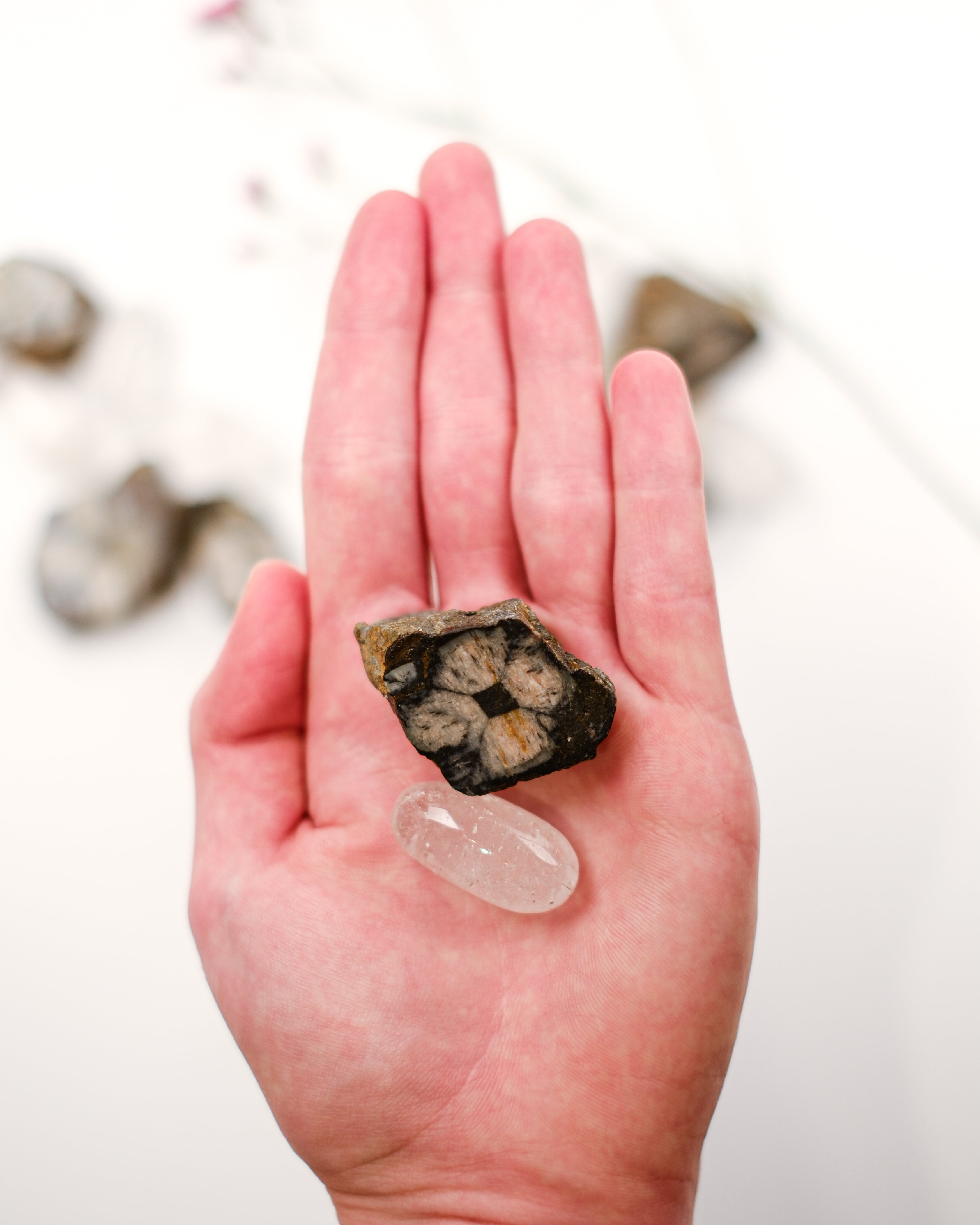 THE MEMORY OF PAST LIVES - KRYSTALPAR