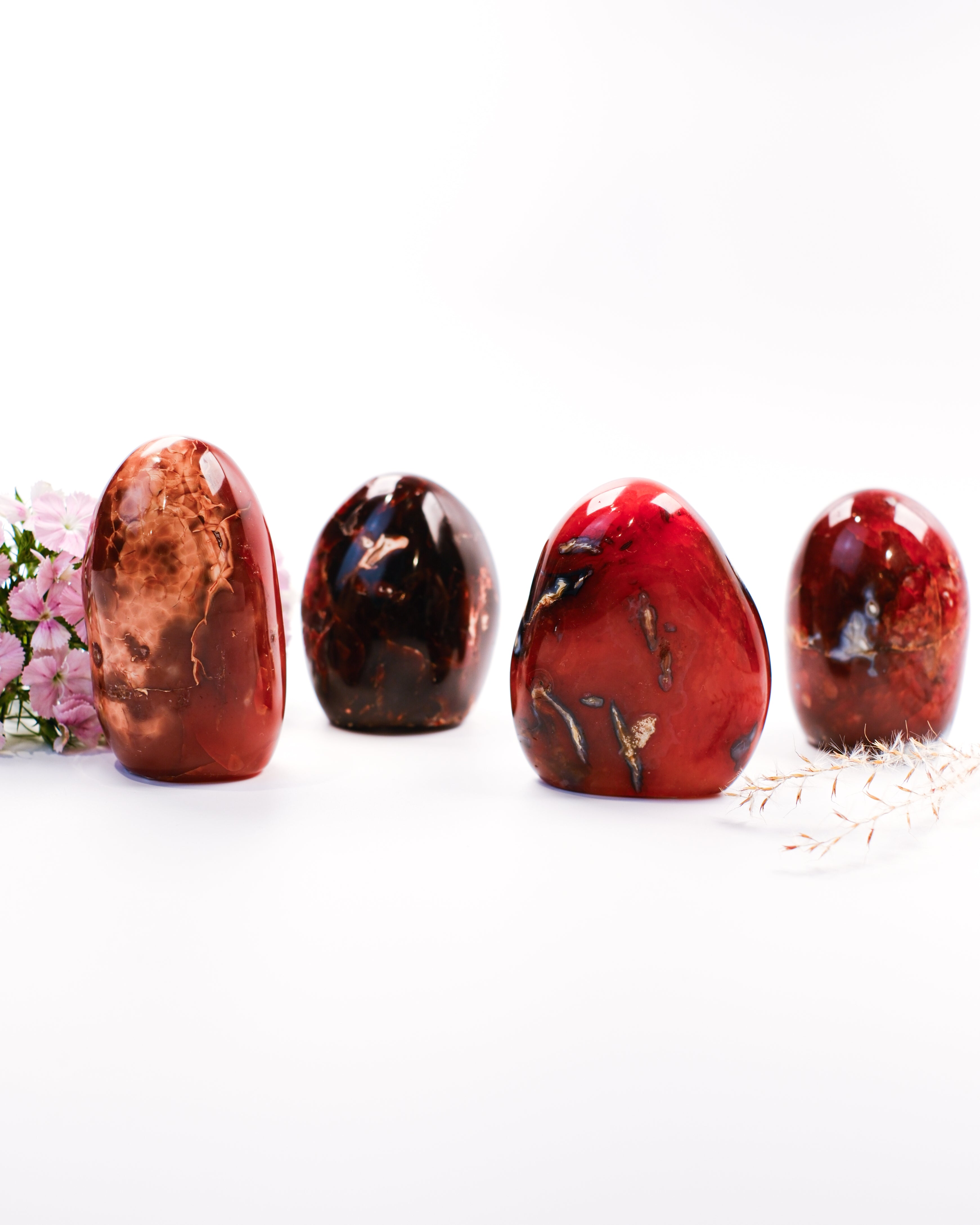 AWAKEN WITHIN - KRYSTAL