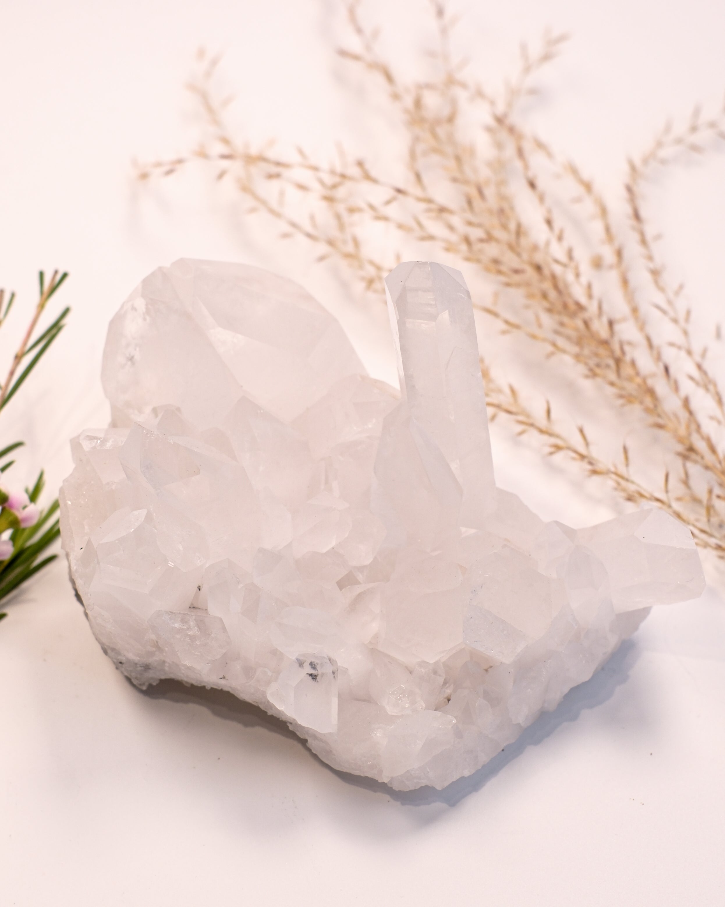 DIVINE EXPANSION - KRYSTAL - UNIKA