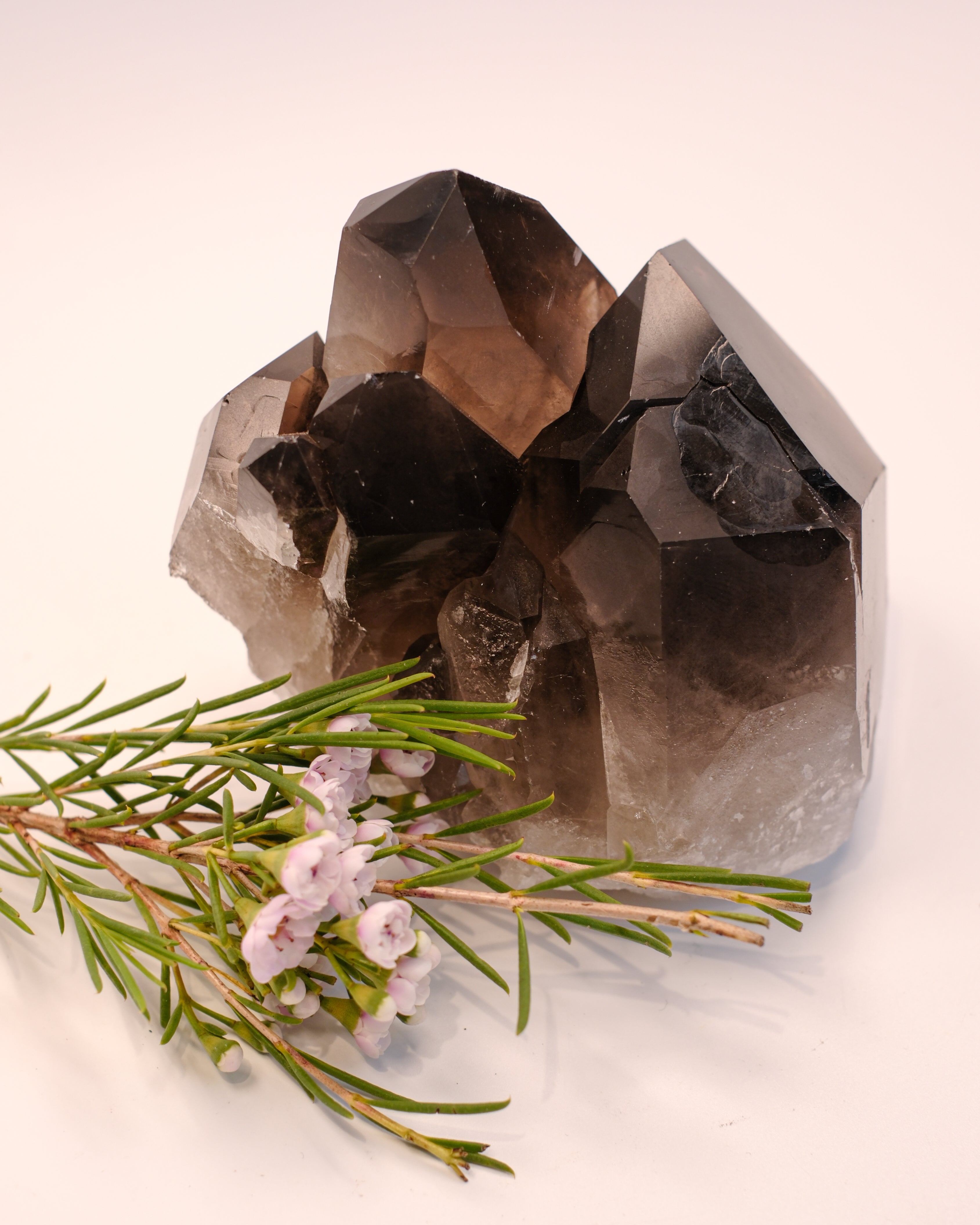 ROOT EVOLUTION - KRYSTAL - UNIKA