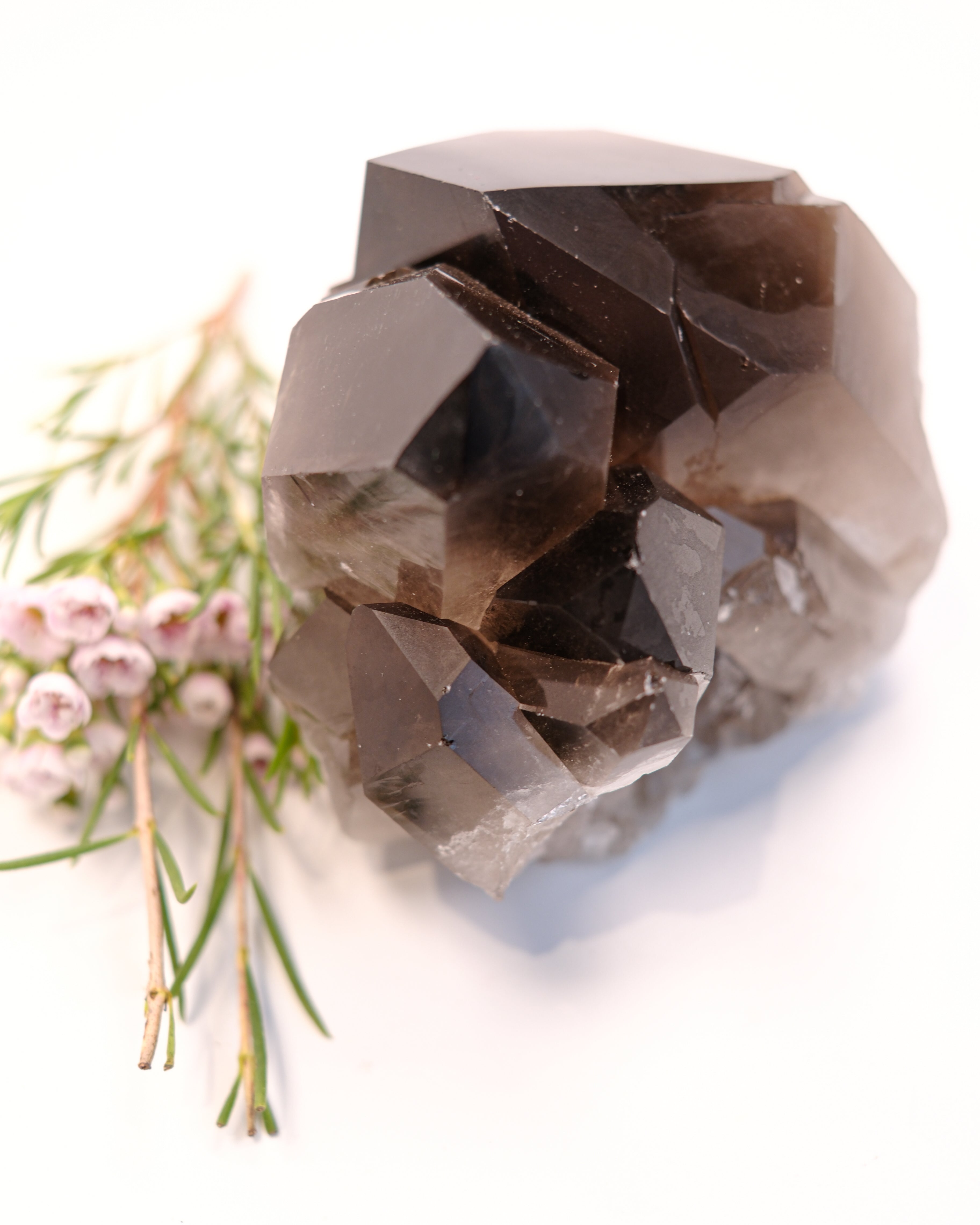 ROOT EVOLUTION - KRYSTAL - UNIKA