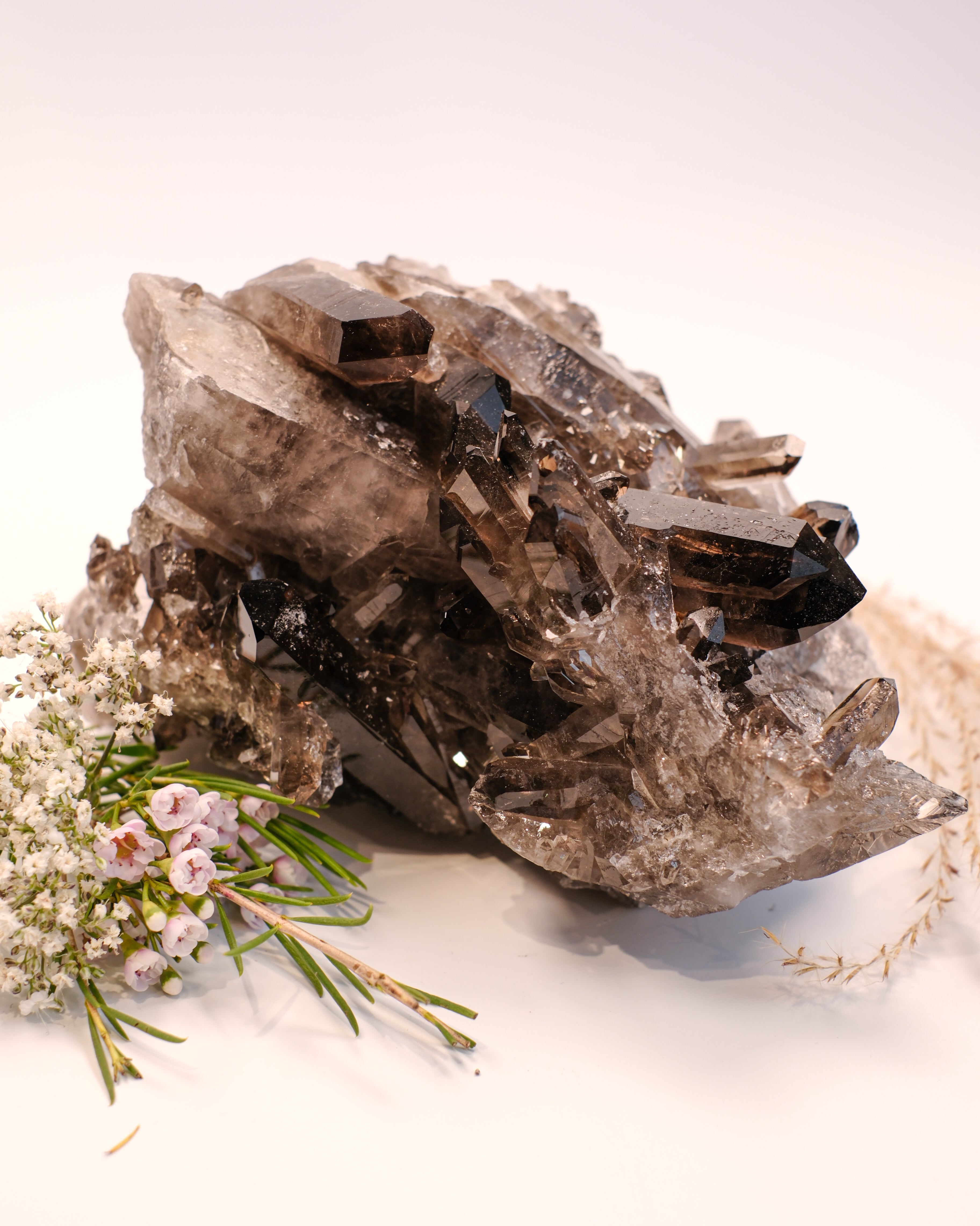 SHADOW MASTER - KRYSTAL - UNIKA