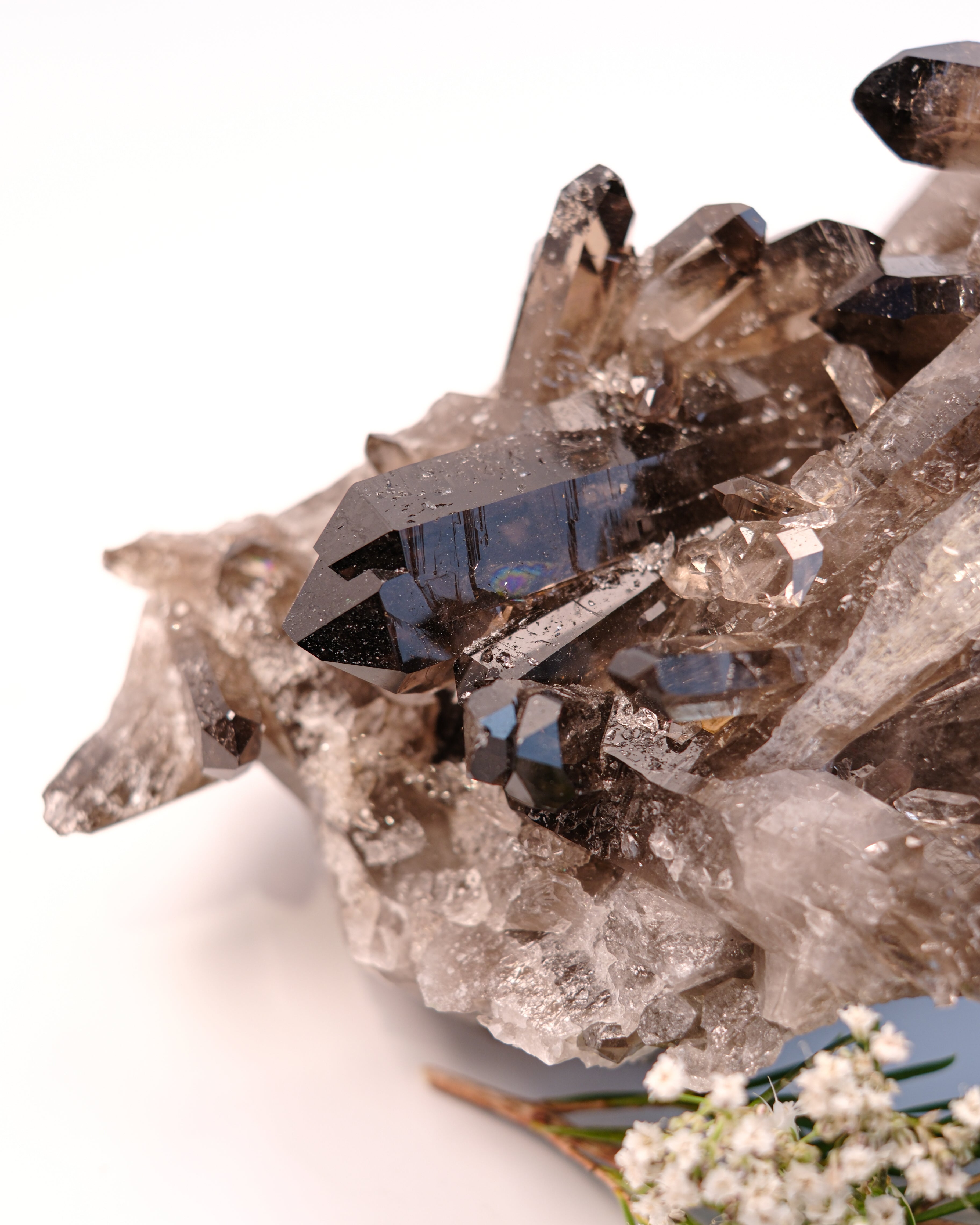 SHADOW MASTER - KRYSTAL - UNIKA