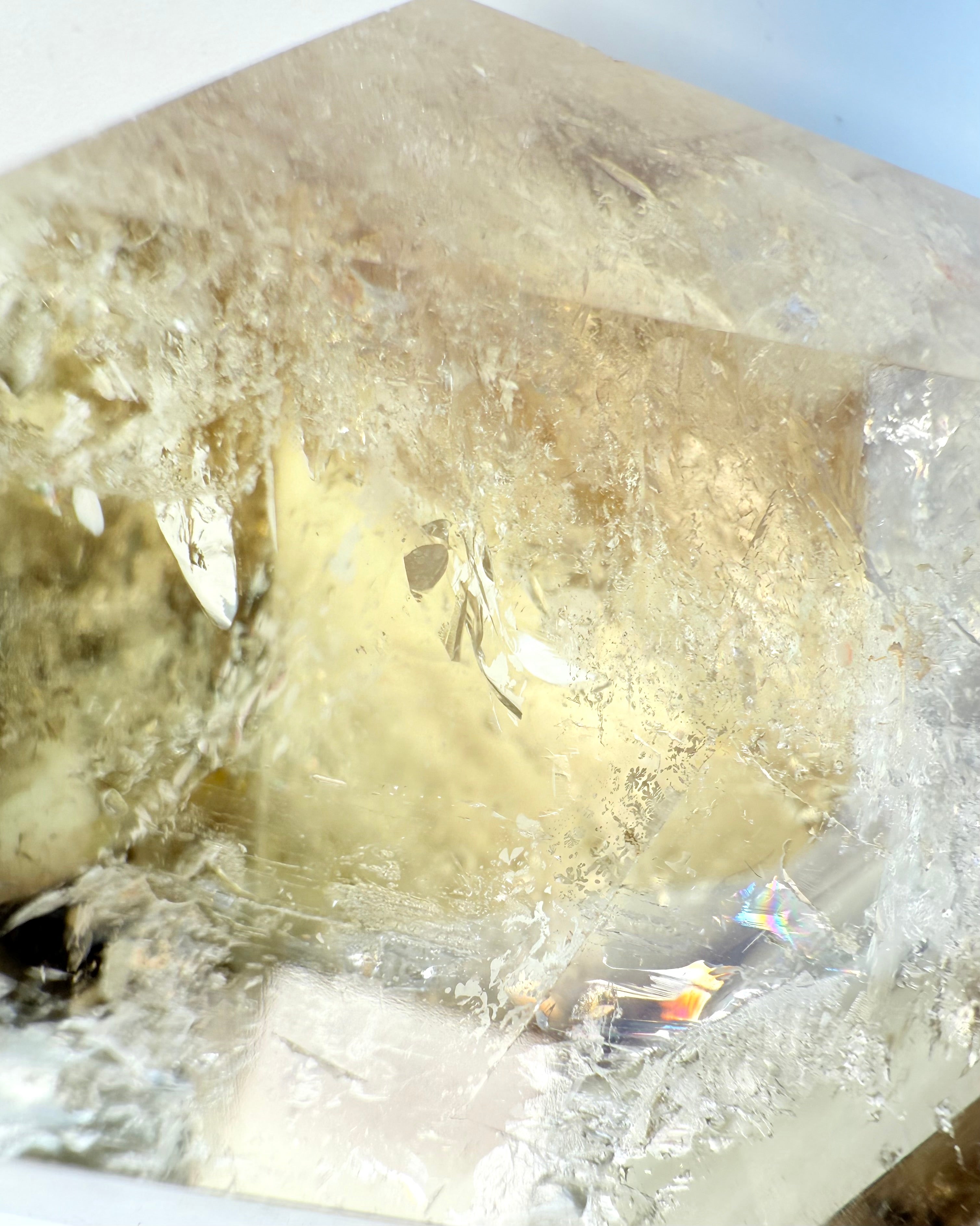 GOLDEN CIRCLE - KRYSTAL - UNIKA