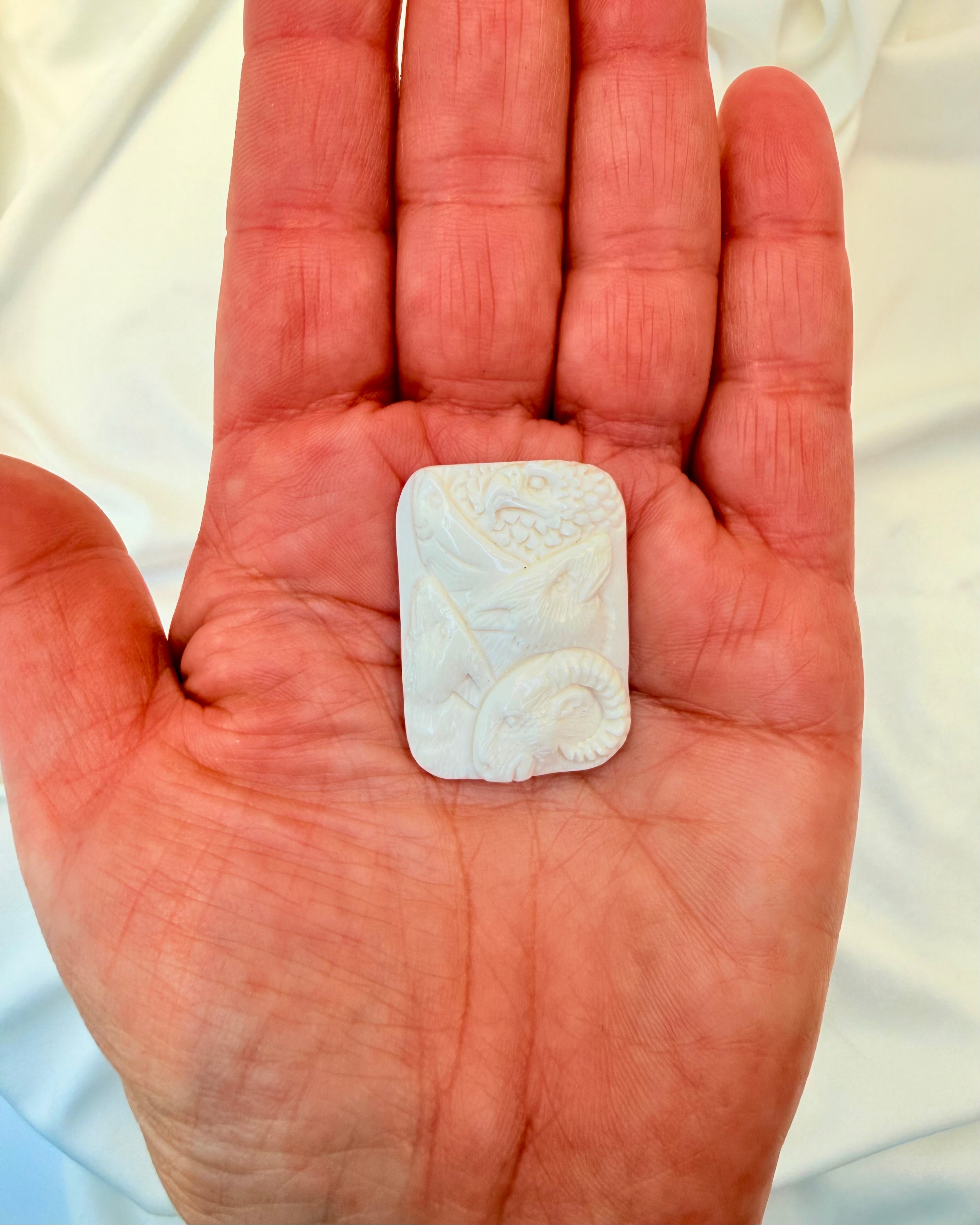 KRAFTDYRENES SAMARBEJDE - AMULET