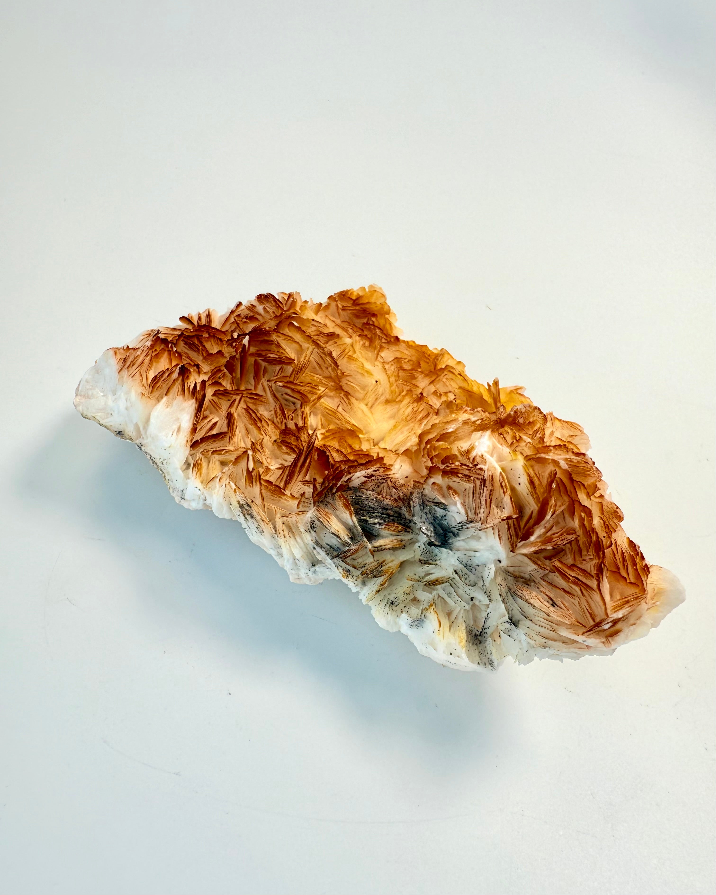 JORDORAKLETS KODNINGER - KRYSTAL - UNIKA