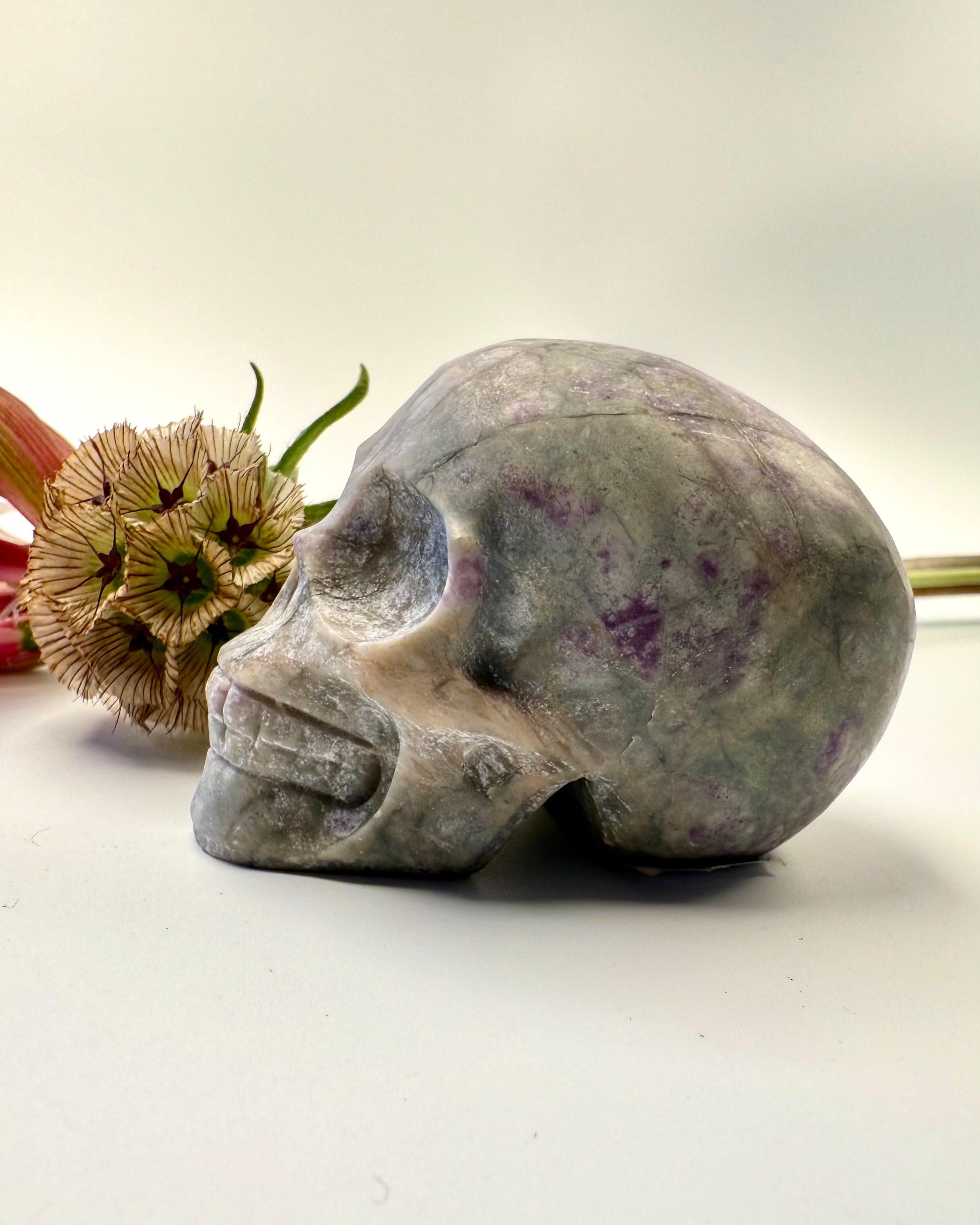 OVERGANGENS MESTER - KRANIE - UNIKA