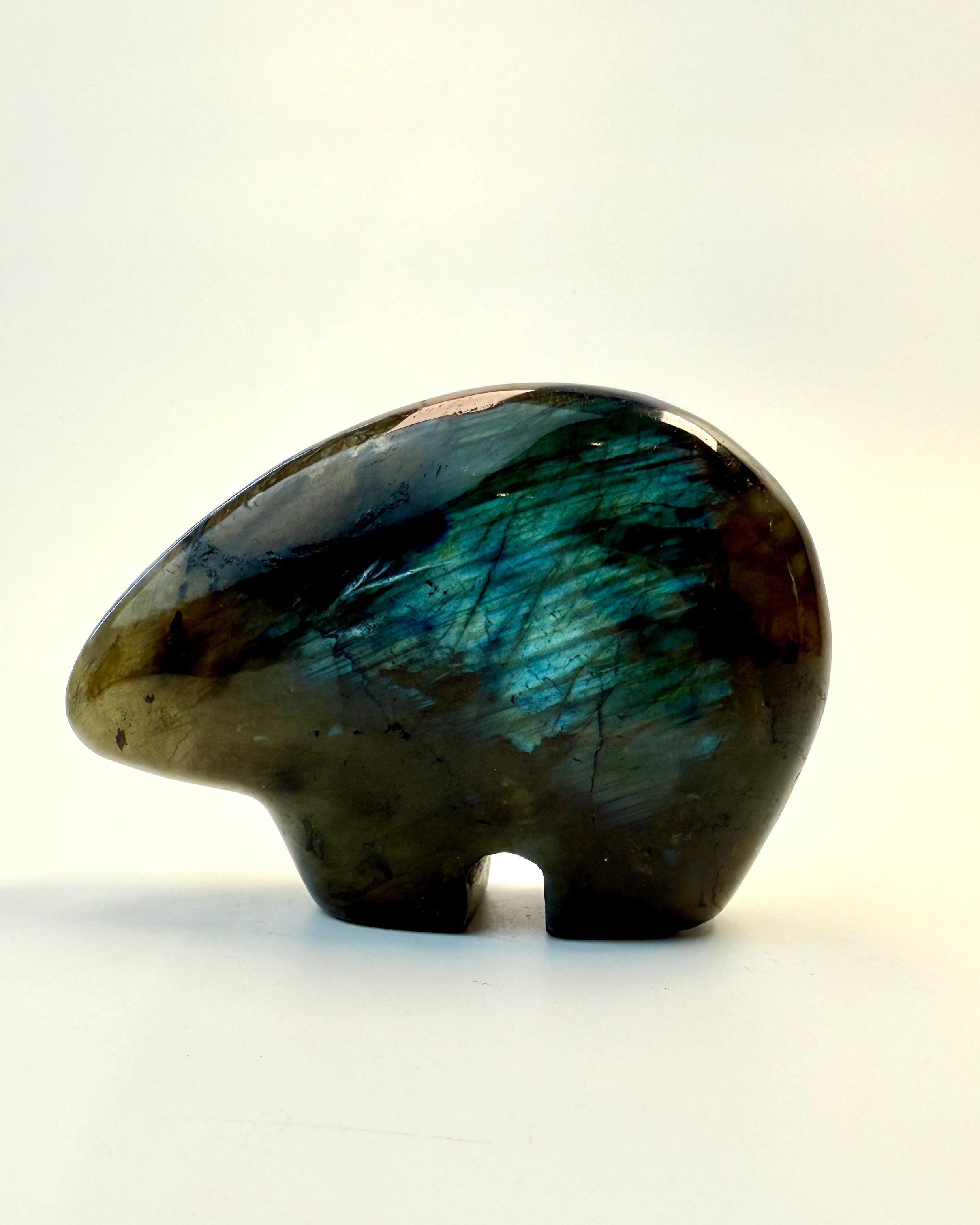 FORTIDENS AFTALER - SHAMANENS BJØRN