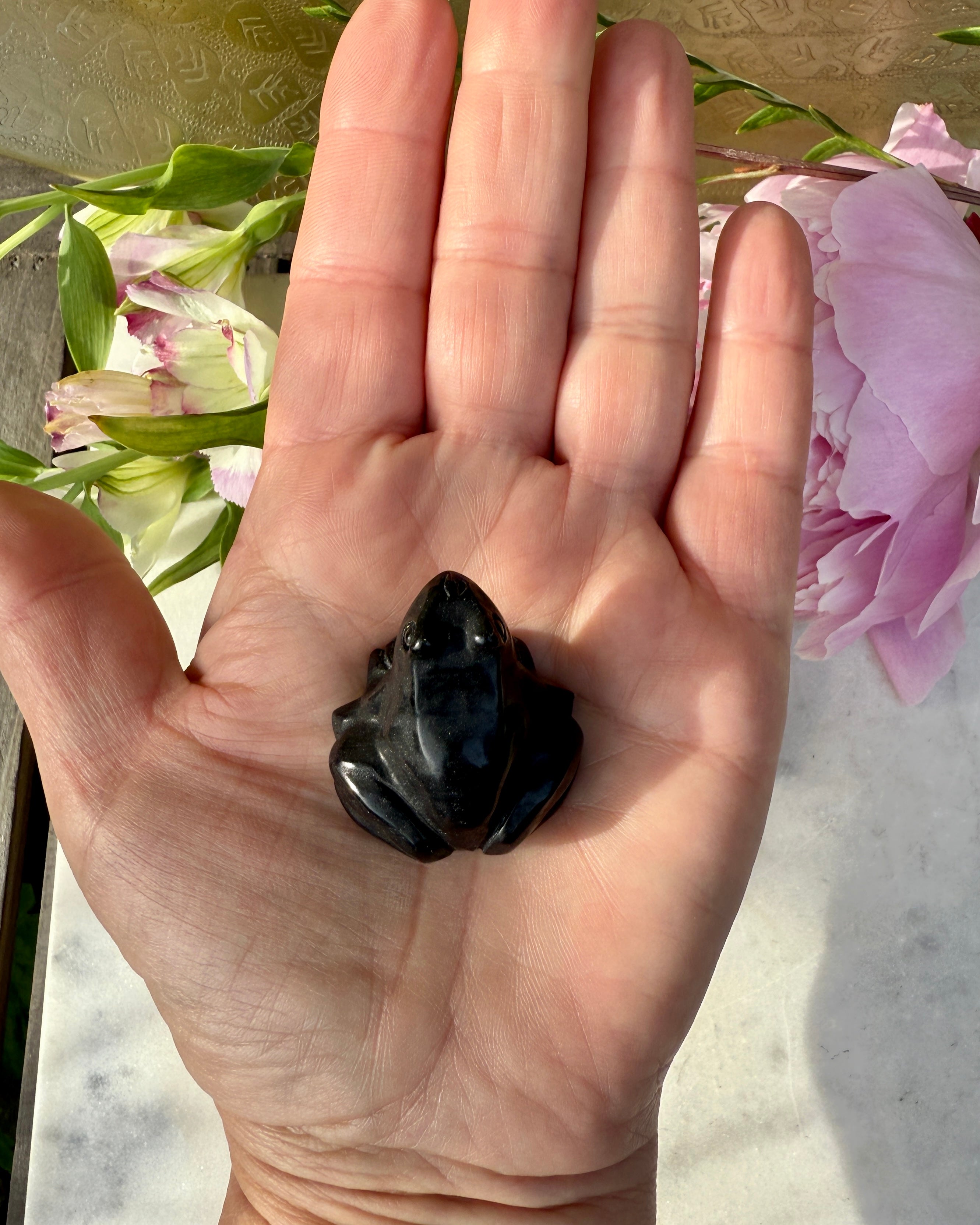 VÆKST OG UDVIKLING - FRØ - KRYSTAL