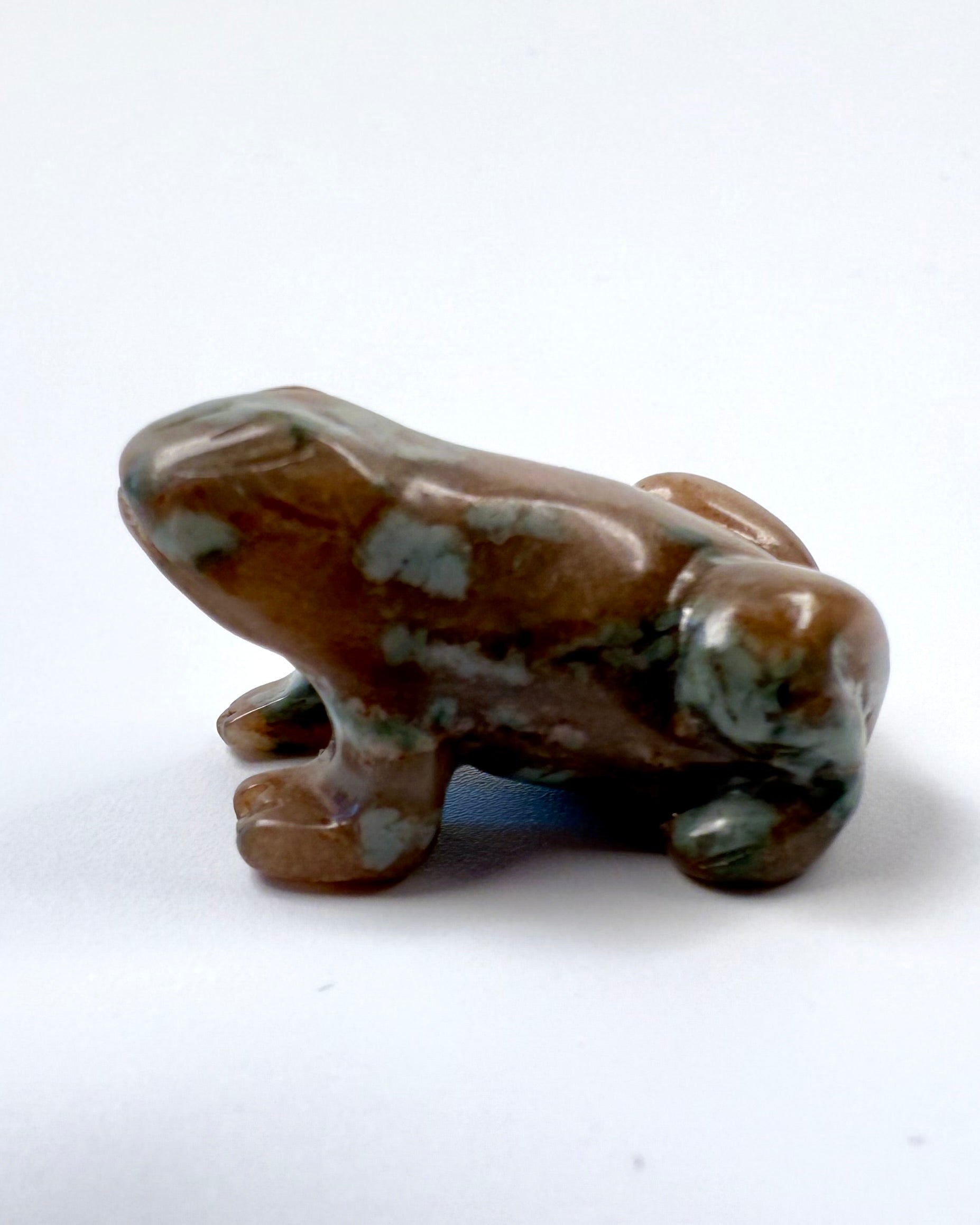 FORVANDLING OG NY START - FRØ