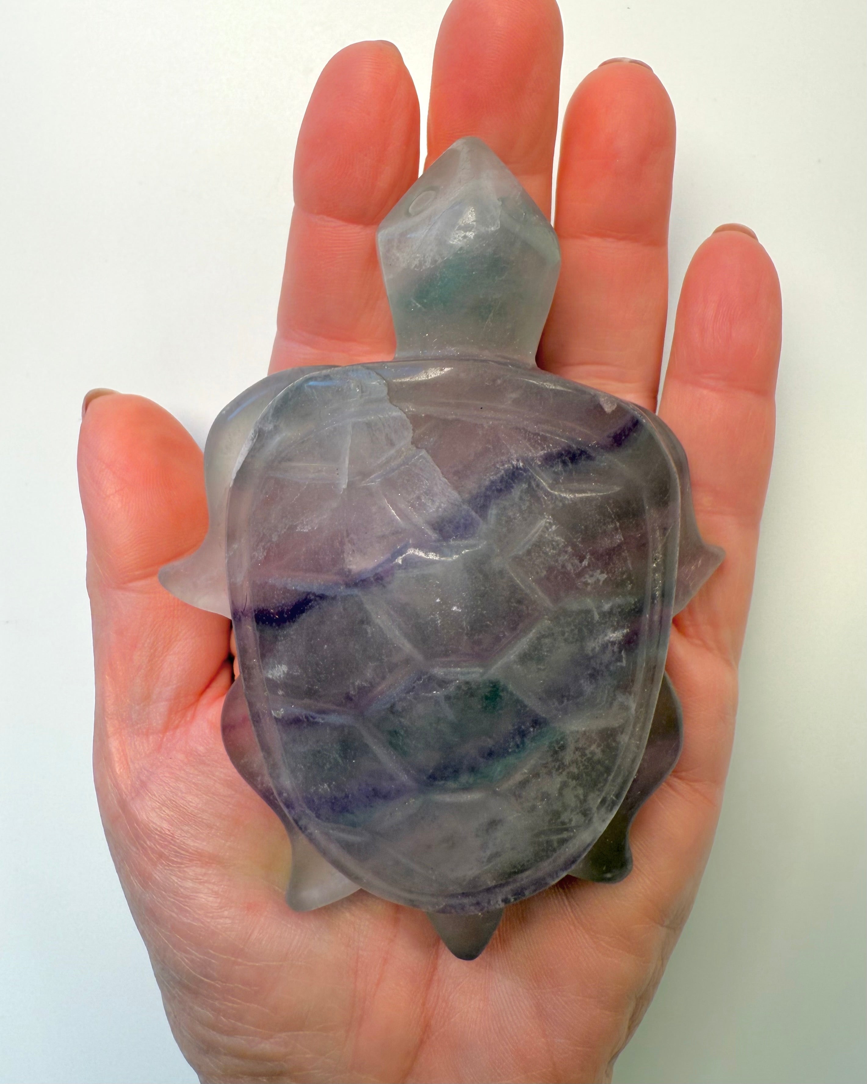 IND TIL KERNEN - SKILDPADDE