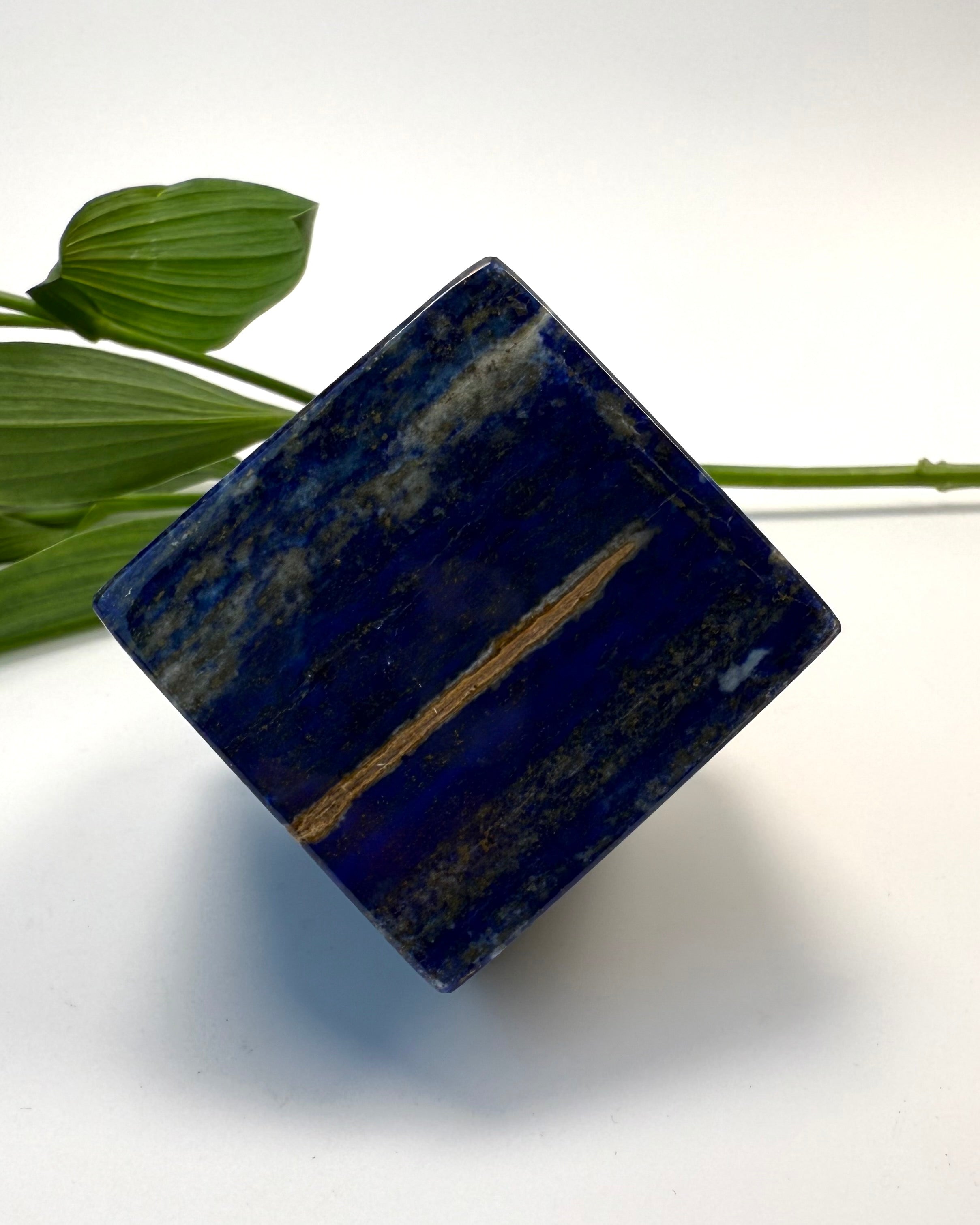 MONEY IN THE HOUSE - KRYSTAL - UNIKA