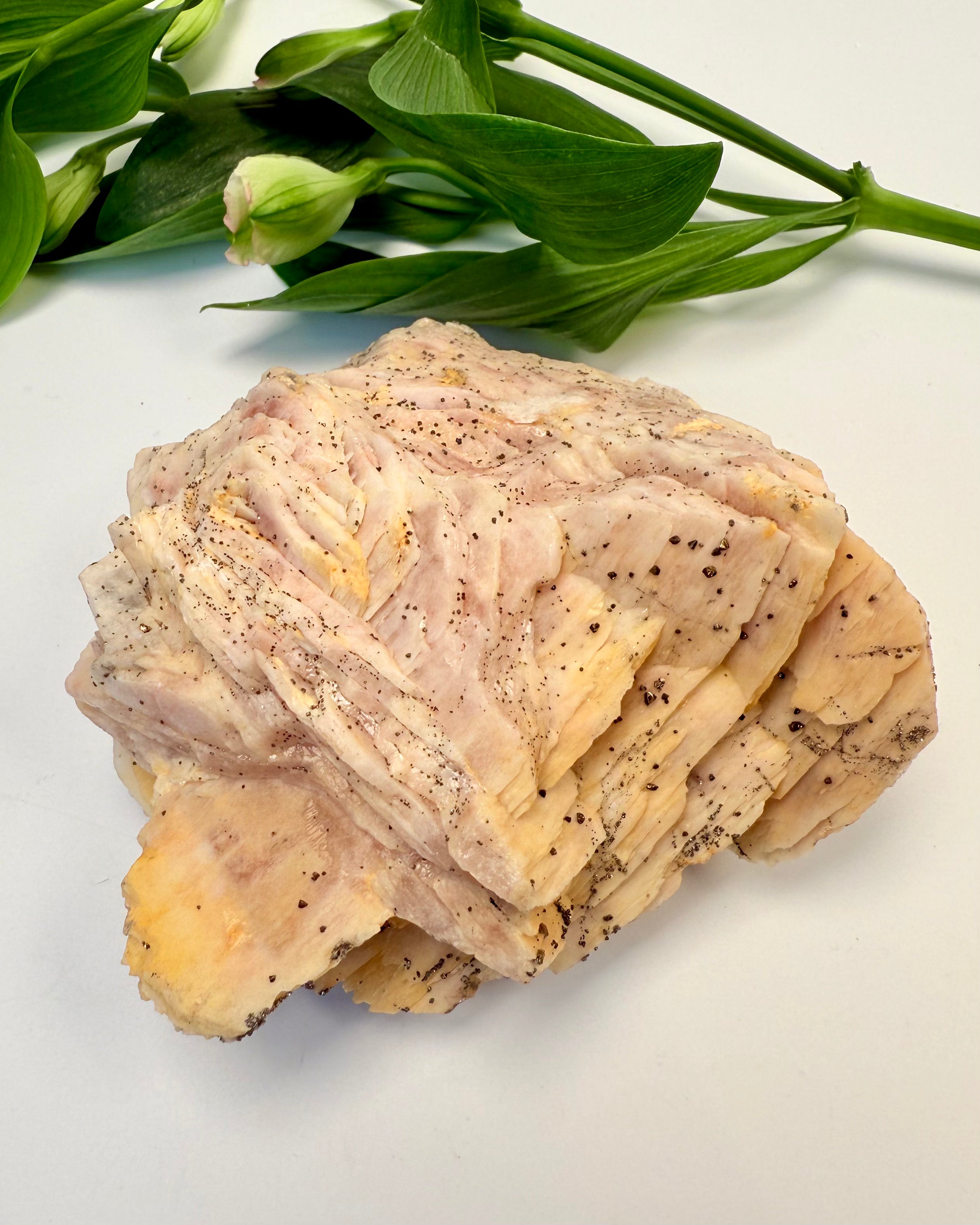 STJERNEREJSE - KRYSTAL - UNIKA