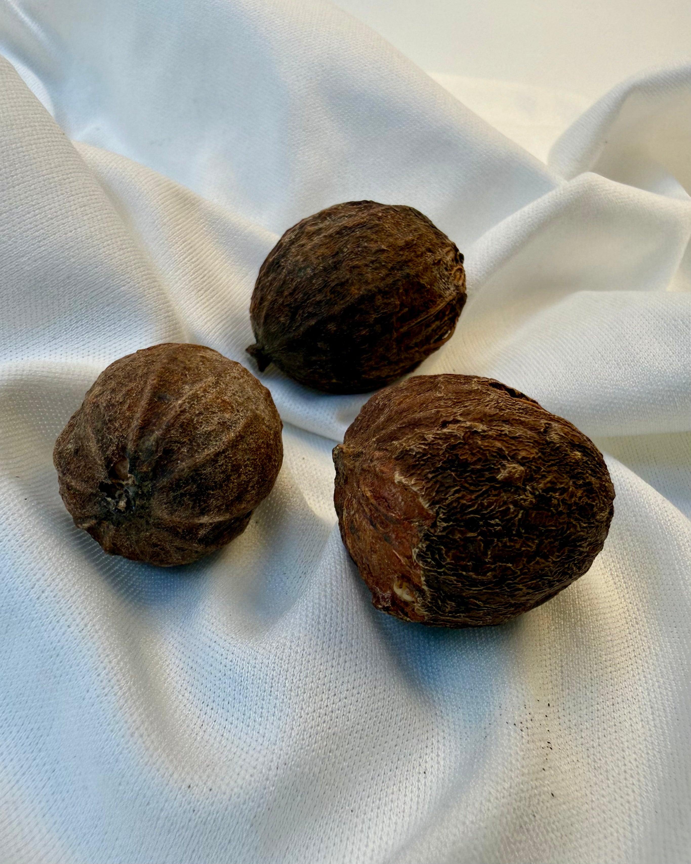 TRANCE OG BEVIDSTHEDSUDVIDELSE - RØGELSE