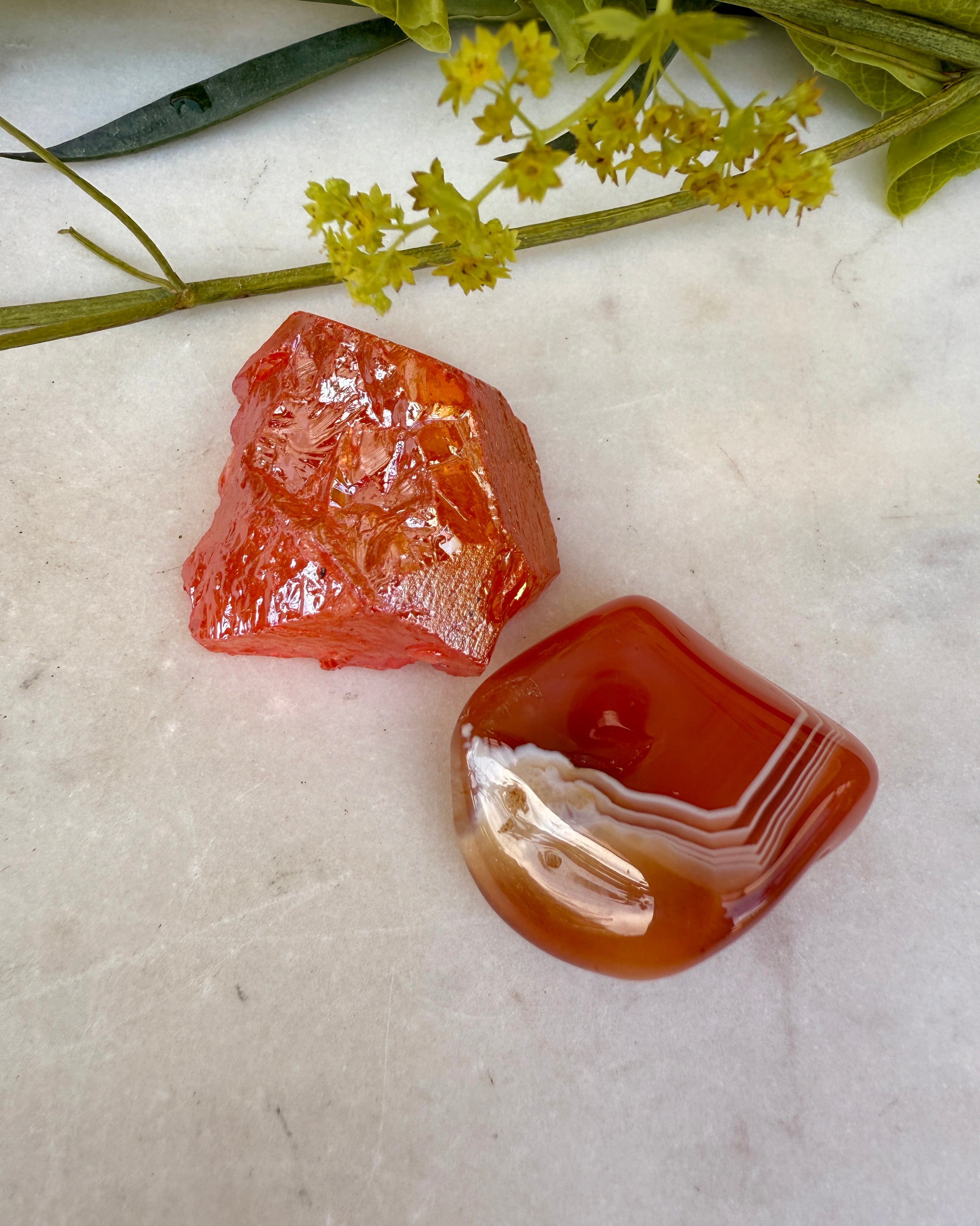 GLAD OG TILFREDS - BØRN