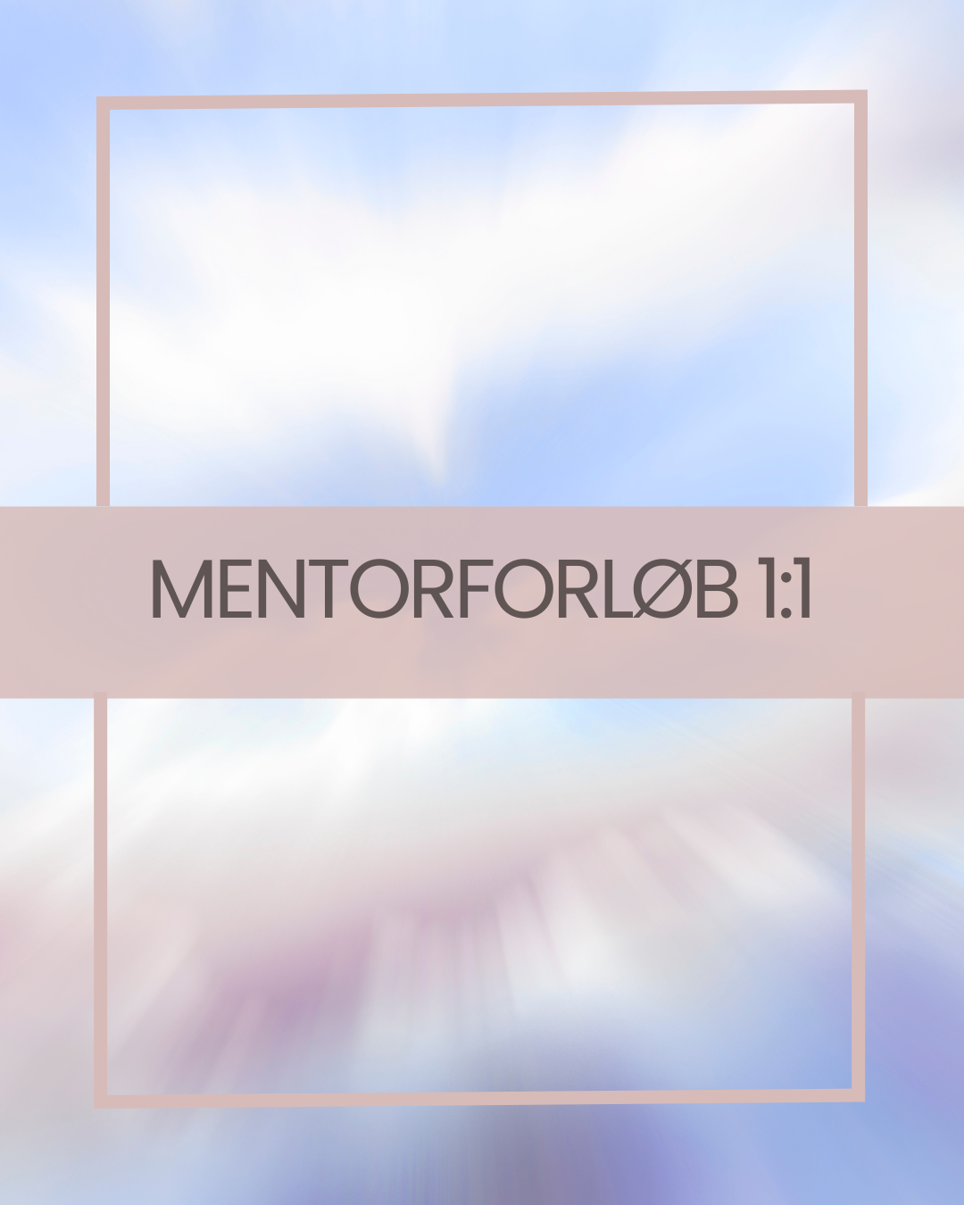 MENTORFORLØB 1:1