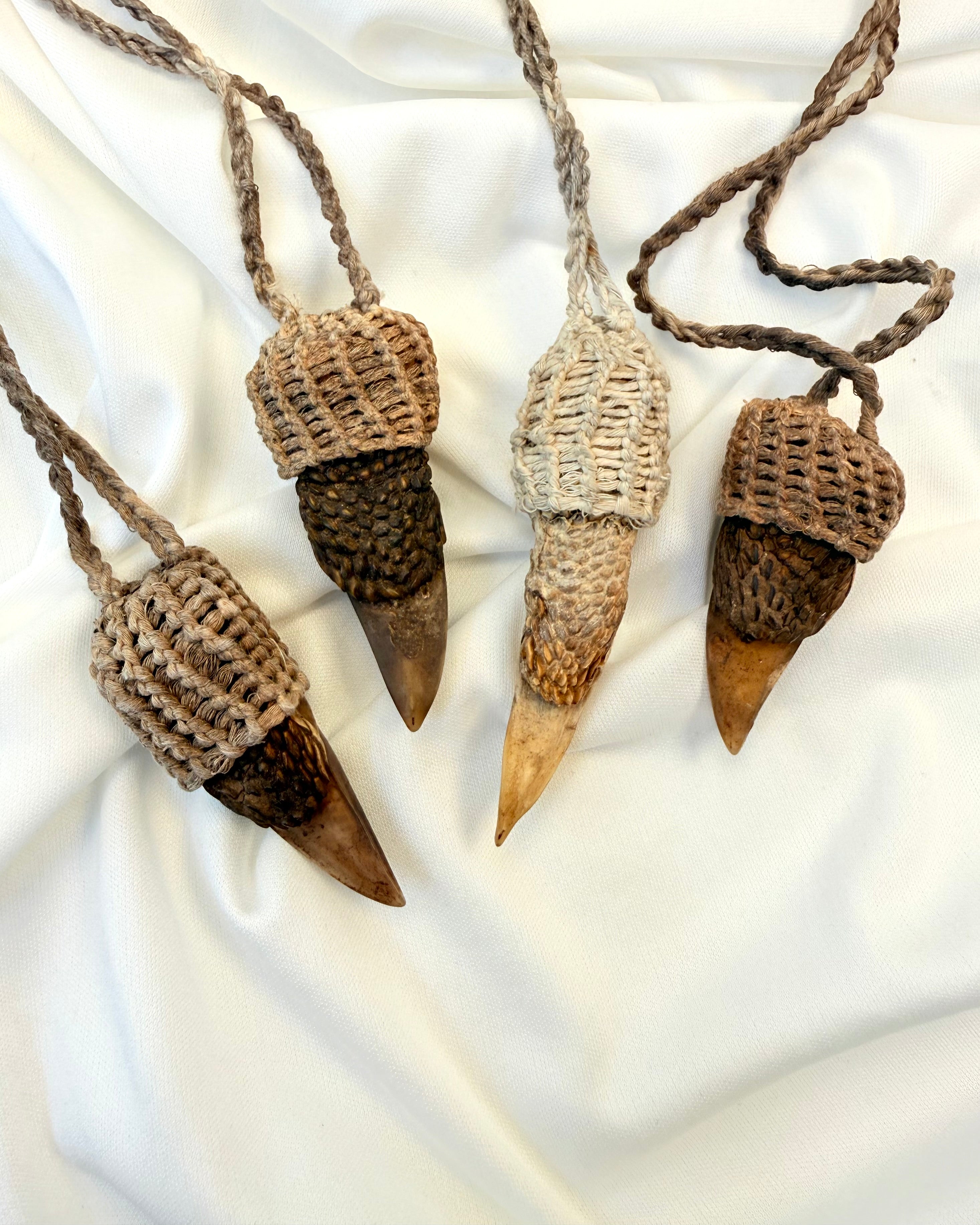 ROVDYRETS KRAFT - AMULET