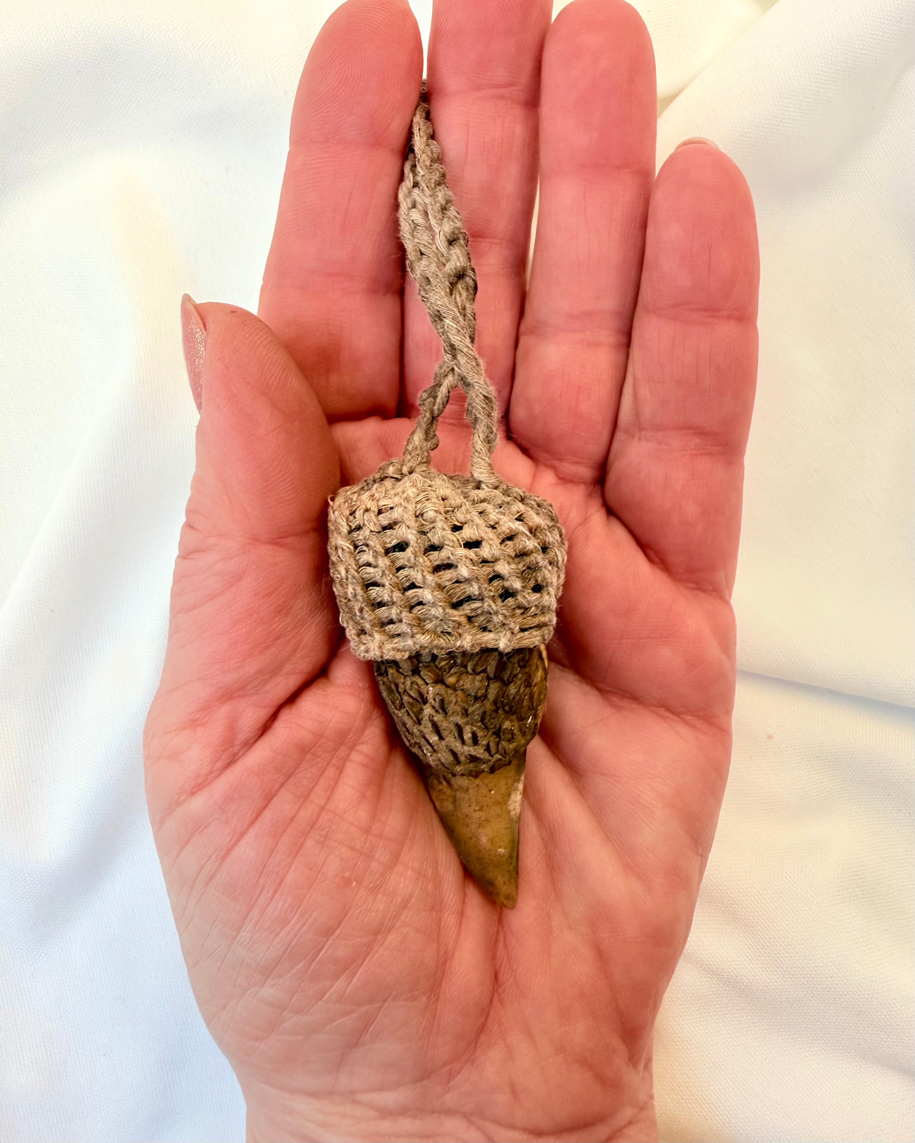 ROVDYRETS KRAFT - AMULET